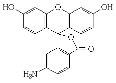 6- ɹأFITC